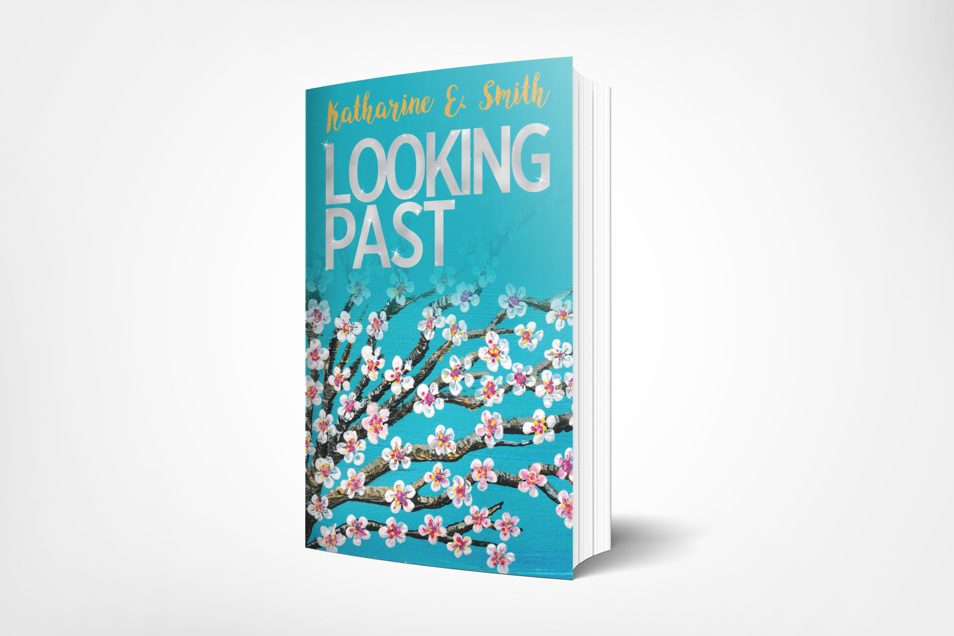 Looking_Past_3D